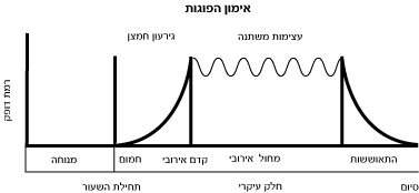 תרשים